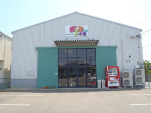 bouldering-navi-gym-boulderhonpo