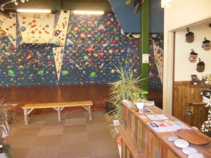 bouldering-navi-gym-camelopardalis1