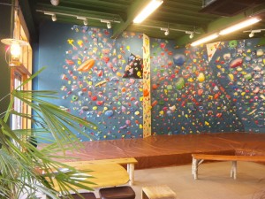 bouldering-navi-gym-camelopardalis2