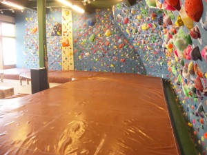 bouldering-navi-gym-camelopardalis3