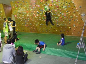 bouldering-navi-gym-green-arrow-myo-den-wall1