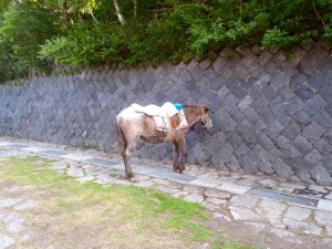 bouldering-navi-mt-fuji52