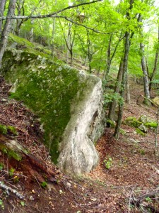 bouldering-navi-mt-mizugaki-climbing-0003