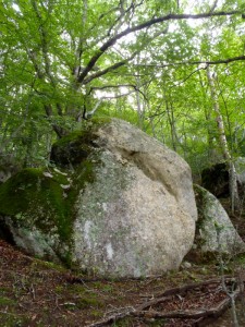 bouldering-navi-mt-mizugaki-climbing-0004