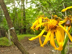 bouldering-navi-mt-mizugaki-climbing-0006
