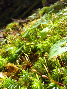bouldering-navi-mt-mizugaki-climbing-0012